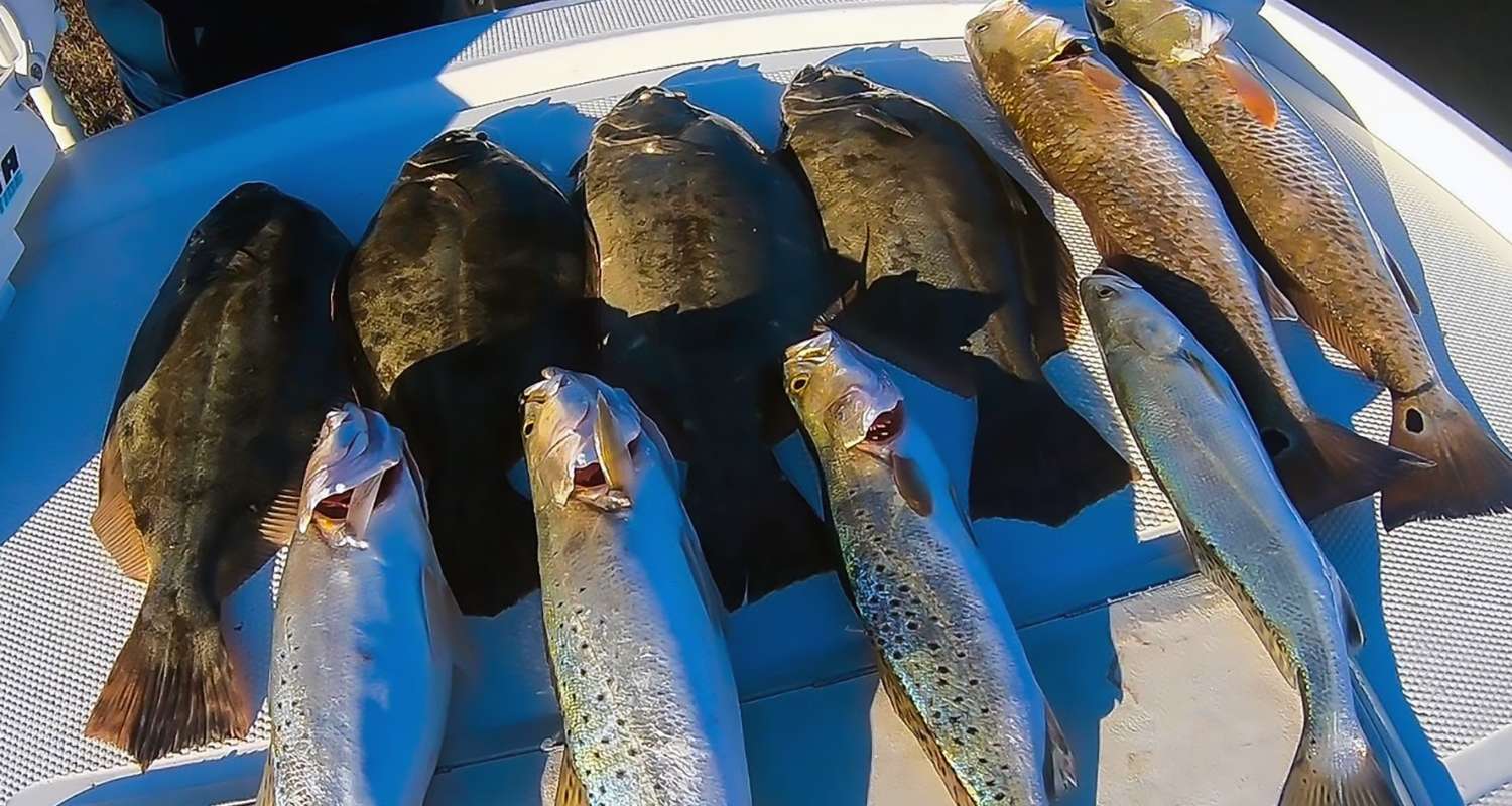Seasonal Saltwater Fishing Trends Along The Gulf Coast